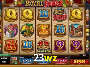 Flash Promotion 23wz